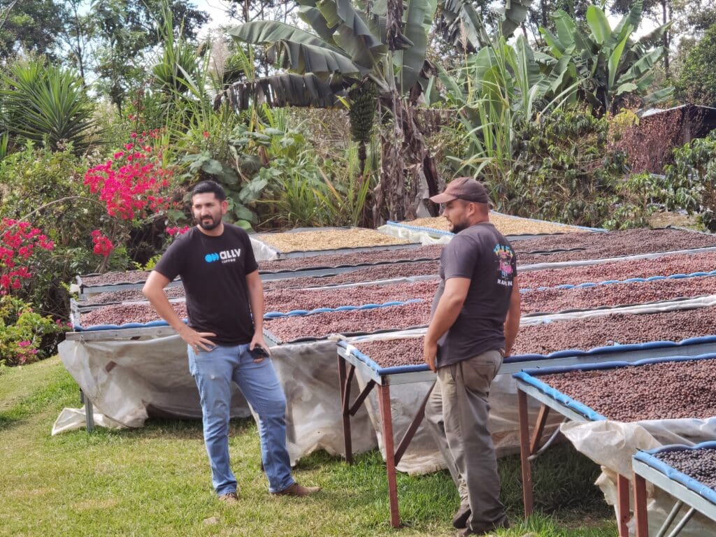 costa rica villa sarchi - Nebo specialty coffee Roastery