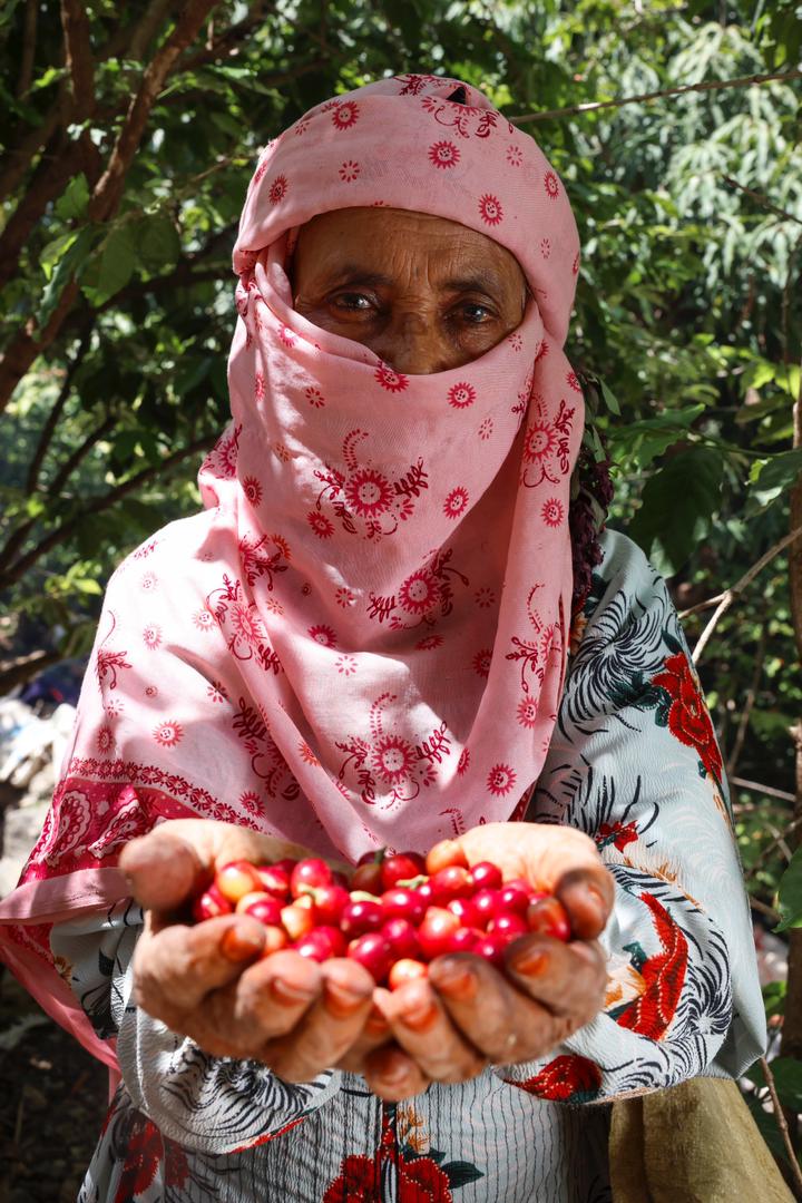 YAMEN HOZAN - Nebo specialty coffee Roastery