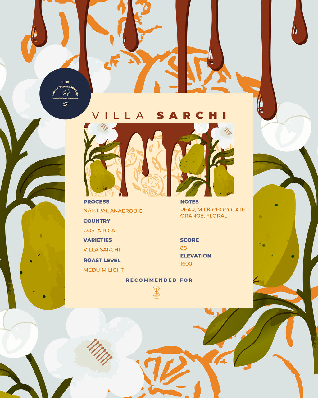 costa rica villa sarchi