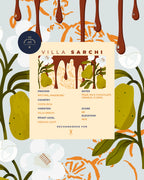 costa rica villa sarchi