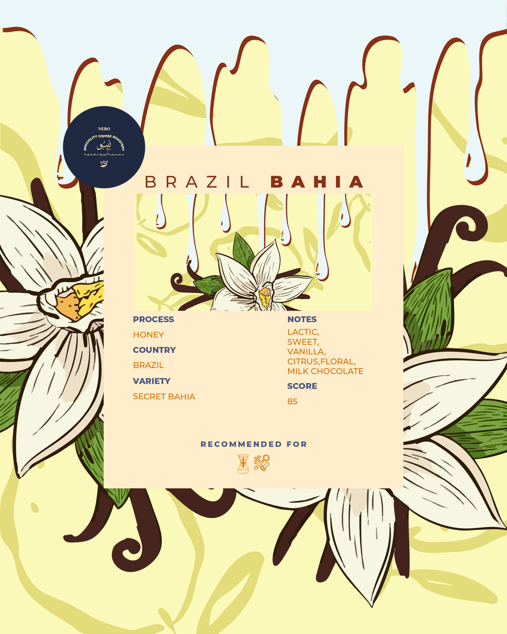 Brazil Bahia - Nebo specialty coffee Roastery